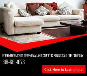 Sofa Cleaning Company - Carpet Cleaning North Hollywood, CA